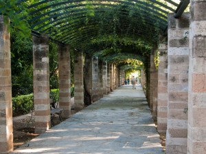 Jardín Nacional, Atenas