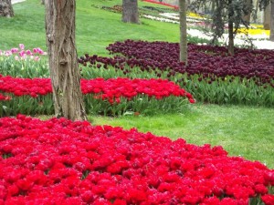 Parque Emirgan, Estambul