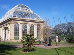 Real Jardín Botánico de Edimburgo